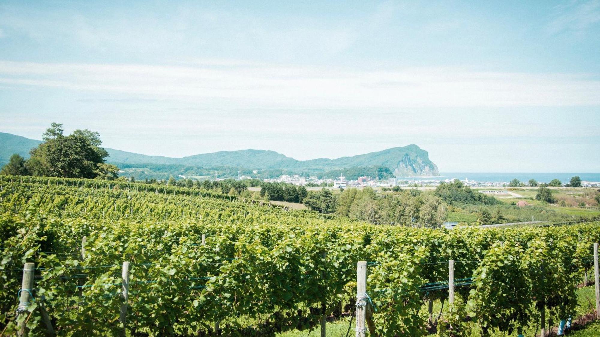 Yoichi Vineyard Glamping Hotel Exterior photo